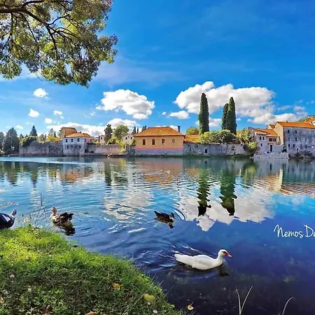 Elena * Trebinje